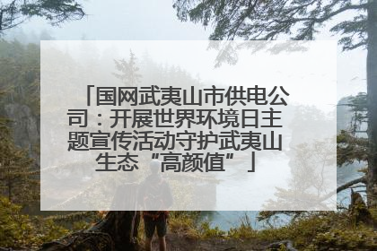 国网武夷山市供电公司：开展世界环境日主题宣传活动守护武夷山生态“高颜值”