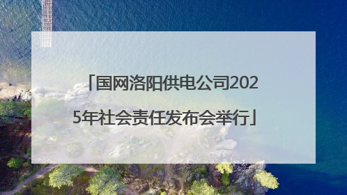 国网洛阳供电公司2025年社会责任发布会举行