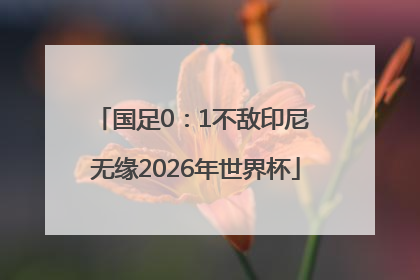 国足0：1不敌印尼 无缘2026年世界杯