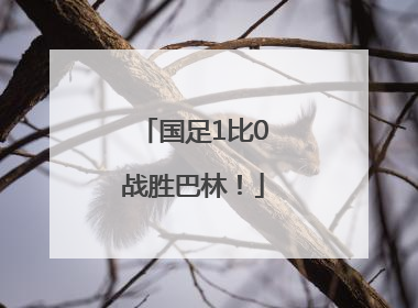 国足1比0战胜巴林！