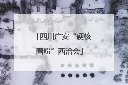 四川广安“硬核圈粉”西洽会