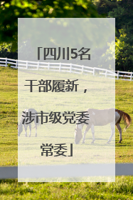 四川5名干部履新，涉市级党委常委