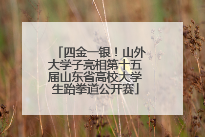 四金一银！山外大学子亮相第十五届山东省高校大学生跆拳道公开赛