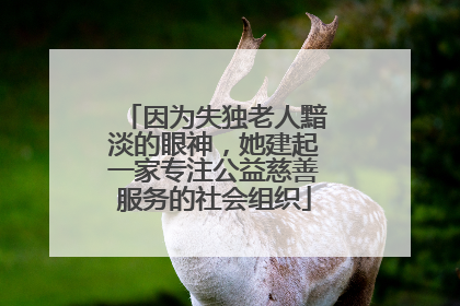 因为失独老人黯淡的眼神，她建起一家专注公益慈善服务的社会组织