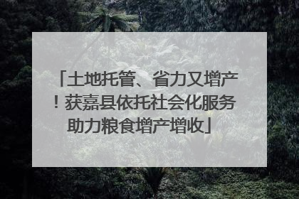 土地托管、省力又增产！获嘉县依托社会化服务助力粮食增产增收