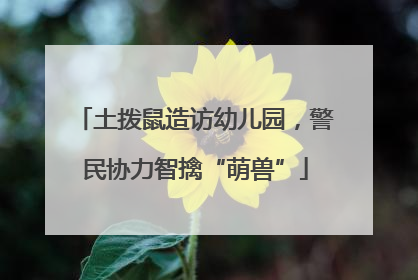 土拨鼠造访幼儿园，警民协力智擒“萌兽”