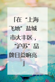在“上海飞地”盐城市大丰区，“沪苏”品牌日益响亮