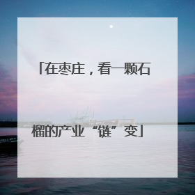 在枣庄，看一颗石榴的产业“链”变
