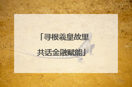 寻根羲皇故里 共话金融赋能