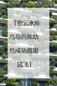 密云水库鸟岛首批幼鸟成功离巢试飞