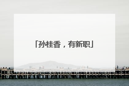 孙桂香，有新职