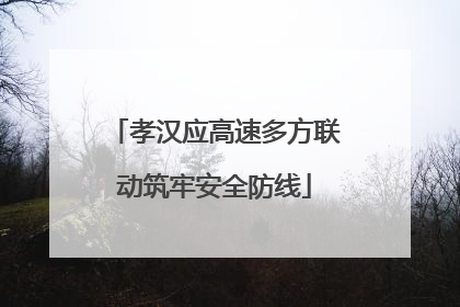 孝汉应高速多方联动筑牢安全防线