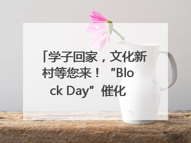 学子回家，文化新村等您来！“Block Day”催化学院式街区新生态