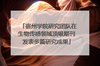 宿州学院研究团队在生物传感领域顶级期刊发表多篇研究成果