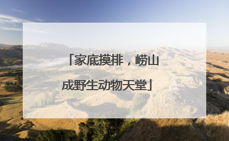 家底摸排，崂山成野生动物天堂