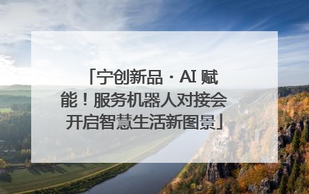宁创新品・AI 赋能！服务机器人对接会开启智慧生活新图景