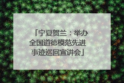 宁夏贺兰：举办全国道德模范先进事迹巡回宣讲会