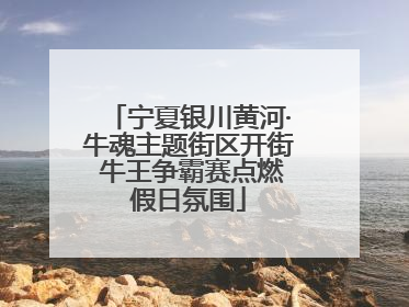 宁夏银川黄河·牛魂主题街区开街 牛王争霸赛点燃假日氛围