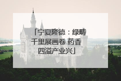 宁夏隆德：绿畴千里展画卷 药香四溢产业兴