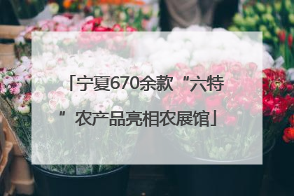 宁夏670余款“六特”农产品亮相农展馆