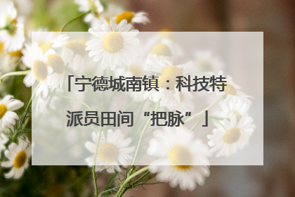 宁德城南镇：科技特派员田间“把脉”