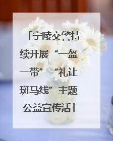 宁陵交警持续开展“一盔一带”“礼让斑马线”主题公益宣传活