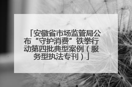 安徽省市场监管局公布“守护消费”铁拳行动第四批典型案例（服务型执法专刊）