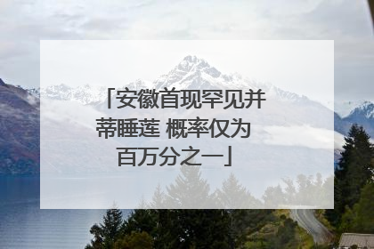 安徽首现罕见并蒂睡莲 概率仅为百万分之一