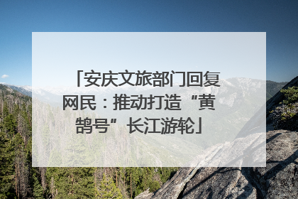 安庆文旅部门回复网民：推动打造“黄鹄号”长江游轮