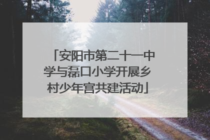 安阳市第二十一中学与磊口小学开展乡村少年宫共建活动