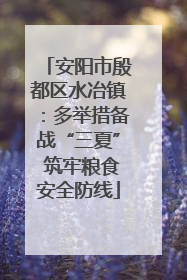 安阳市殷都区水冶镇：多举措备战“三夏” 筑牢粮食安全防线