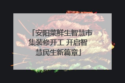 安阳菜鲜生智慧市集装修开工 开启智慧民生新篇章