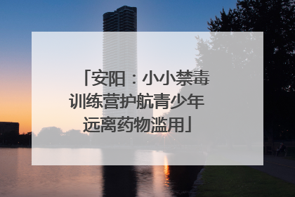 安阳：小小禁毒训练营护航青少年远离药物滥用