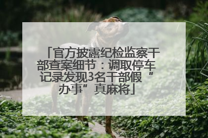 官方披露纪检监察干部查案细节：调取停车记录发现3名干部假“办事”真麻将