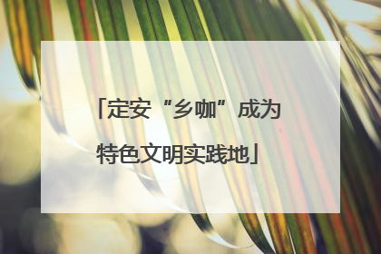 定安“乡咖”成为特色文明实践地
