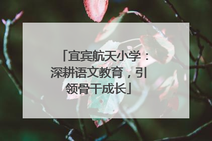 宜宾航天小学：深耕语文教育，引领骨干成长