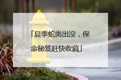 夏季蛇类出没，保命秘笈赶快收藏