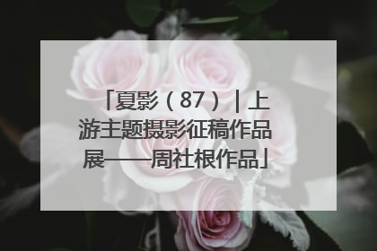 夏影（87）｜上游主题摄影征稿作品展——周社根作品