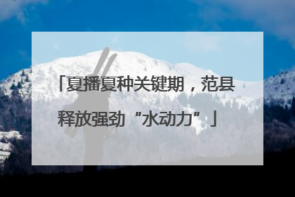 夏播夏种关键期，范县释放强劲“水动力”
