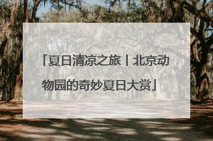 夏日清凉之旅丨北京动物园的奇妙夏日大赏