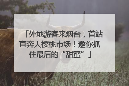 外地游客来烟台，首站直奔大樱桃市场！邀你抓住最后的“甜蜜”