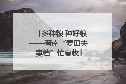 多种粮 种好粮——晋南“麦田夫妻档”忙夏收