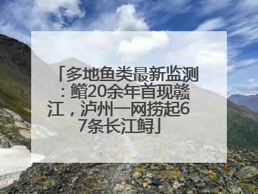 多地鱼类最新监测：鳤20余年首现赣江，泸州一网捞起67条长江鲟