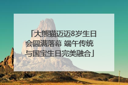 大熊猫迈迈8岁生日会圆满落幕 端午传统与国宝生日完美融合
