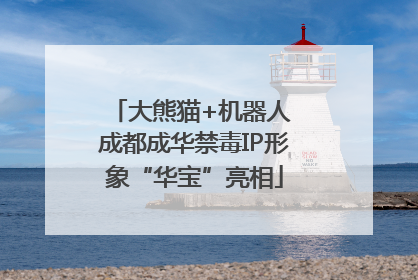 大熊猫+机器人 成都成华禁毒IP形象“华宝”亮相