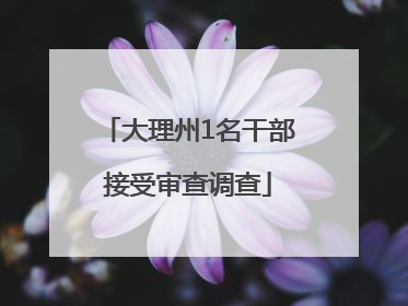 大理州1名干部接受审查调查