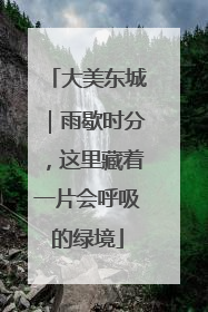 大美东城｜雨歇时分，这里藏着一片会呼吸的绿境