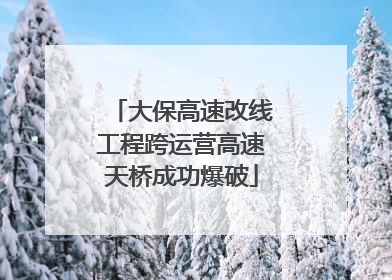 大保高速改线工程跨运营高速天桥成功爆破