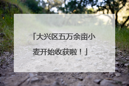 大兴区五万余亩小麦开始收获啦！
