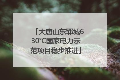 大唐山东郓城630℃国家电力示范项目稳步推进